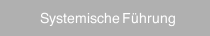 Systemische F&uuml;hrung