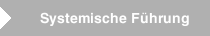 Systemische F&uuml;hrung